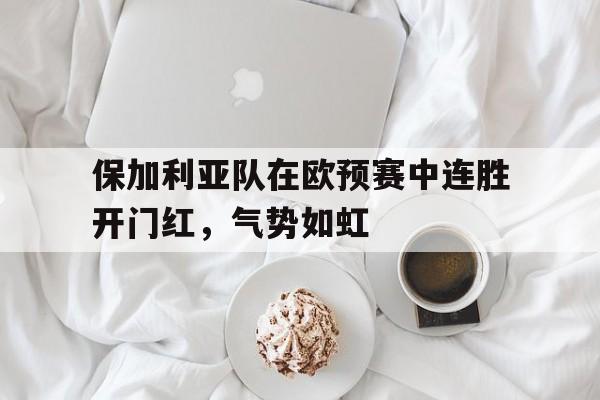 保加利亚队在欧预赛中连胜开门红，气势如虹的简单介绍